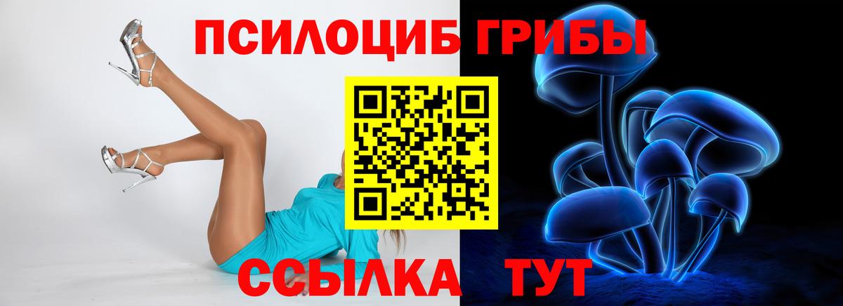 Волхов  Галлюциногенные грибы ЛСД  Галлюциногенные грибы мицелий  купить   Вход с VPN 